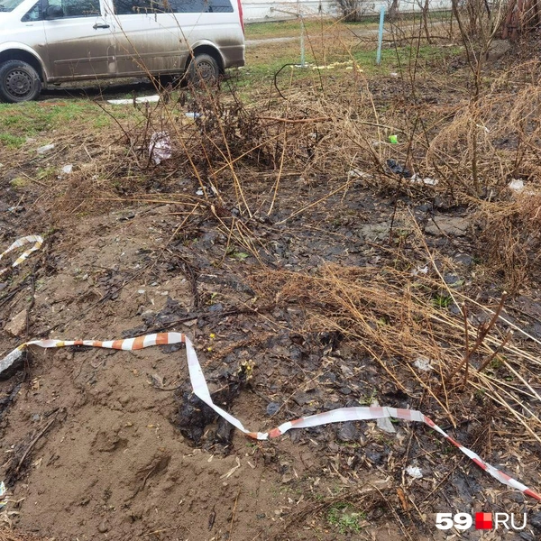 В том же дворе мы увидели выжженную сухую траву, огороженную лентой | Источник: Тимофей Калмаков / 59.RU