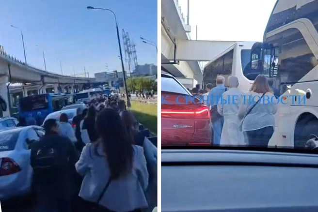 В районе метро «Ховрино» авария с автобусами — пробка на МКАД почти 600 метров | Источник: «Москва на дорогах» / T.me, «МК: Срочные новости» / T.me