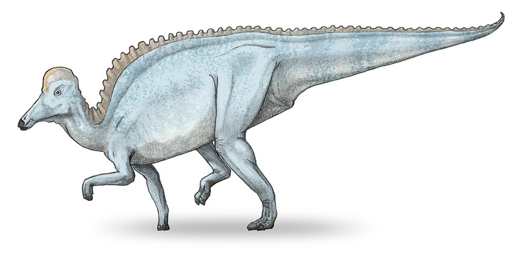 Динозавры с улицы Ленина: история одного палеонтологического открытия
