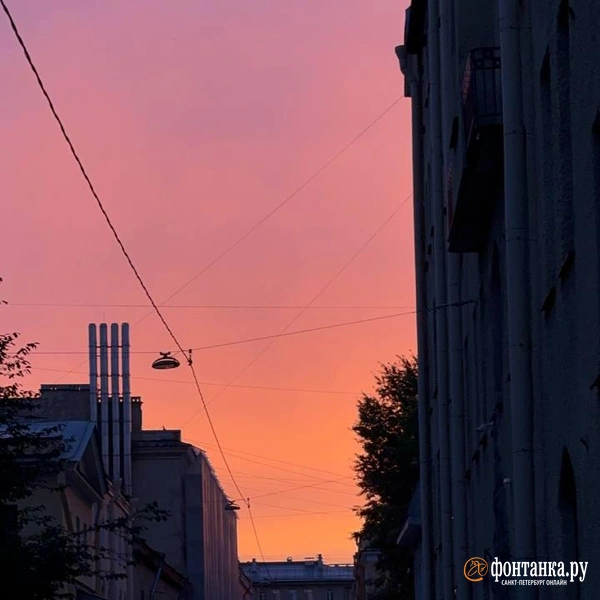 Источник: Дарья Драй / «Фонтанка.ру»