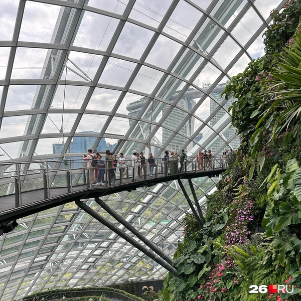 Flower Dome | Источник: Габриелла Захарова / 26.RU