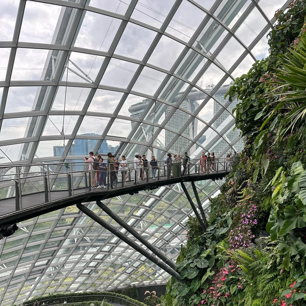 Flower Dome | Источник: Габриелла Захарова / 26.RU