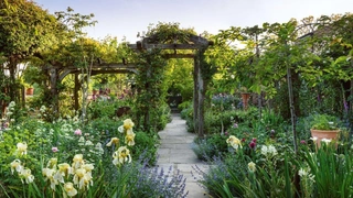 «Искусства и ремесла»: сад в Лондоне, обновленный Джо Томпсон