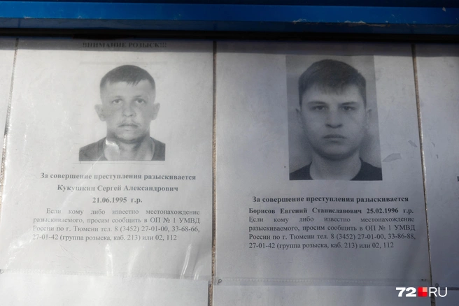 Источник: Ирина Шарова / 72.RU