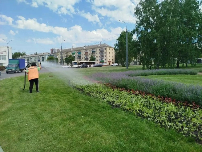 В Липецке «Зеленхоз» усилил полив клумб из-за жары | Источник: lipetskcity.ru