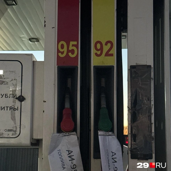 Источник: Валерия Богатырёва / 29.RU