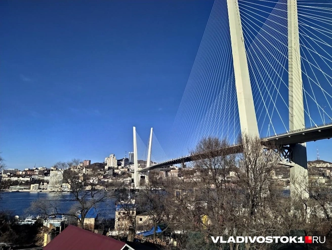 Источник: Екатерина Цой / VLADIVOSTOK1.RU