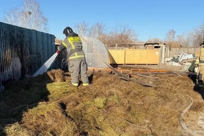 В Агинском сгорело сено из-за непотушенной золы