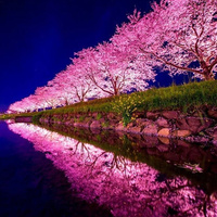 Аватарка Дарья Удмурова