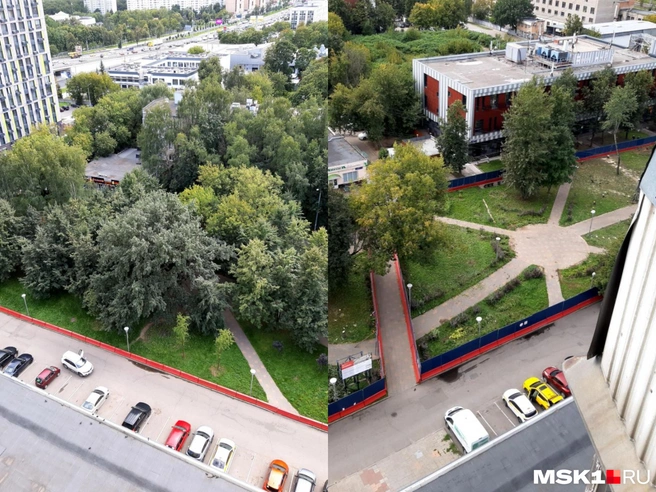 Сквер до (слева) и после (справа) вырубки  | Источник: предоставлено MSK1.RU местными жителями