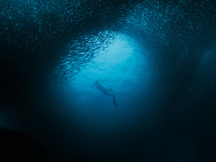 Фридайвинг: что происходит с организмом на глубине 250 метров (и что ждет нас глубже)