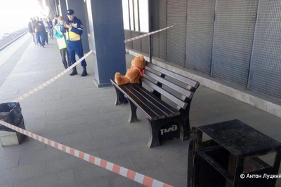 Участок на МЦД-3 оцепили из-за плюшевого медвежонка