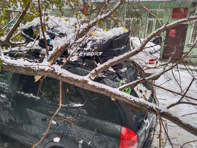 В результате происшествия никто не пострадал | Источник: Информацию предоставила Дарья Казак