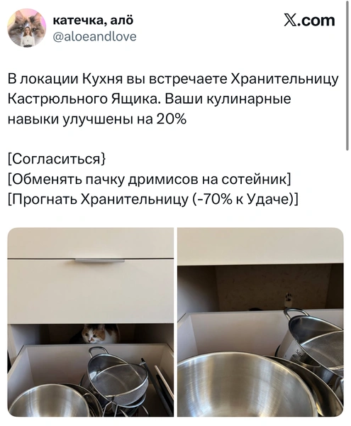 Источник: X (Twitter)