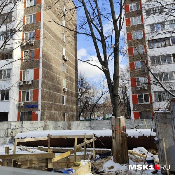 Источник: Игорь Мещанев / MSK1.RU