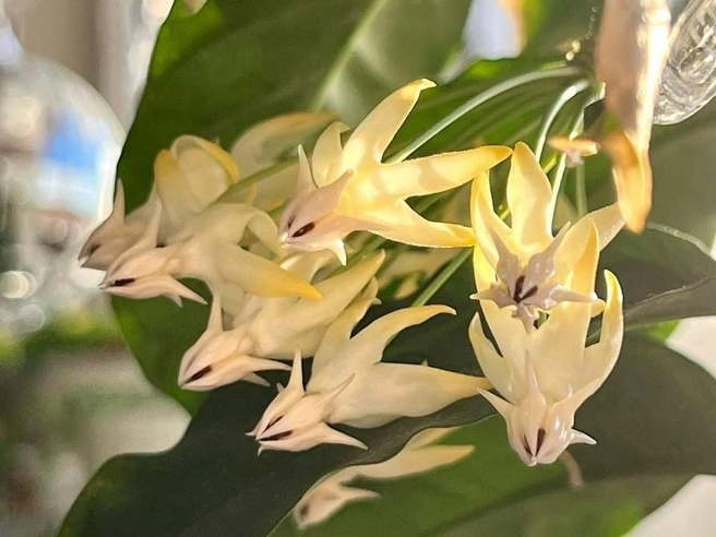 Еще одна красавица Сабитовой | Источник: kust1kkk / T.me