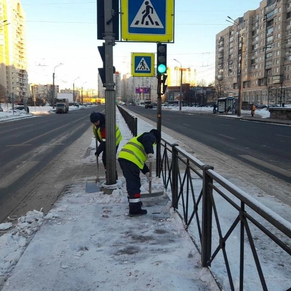 Источник: Комитет по благоустройству Петербурга
