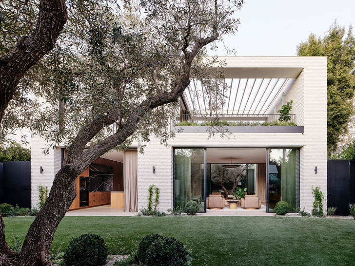 Дом в Санта-Монике, построенный вокруг оливкового дерева