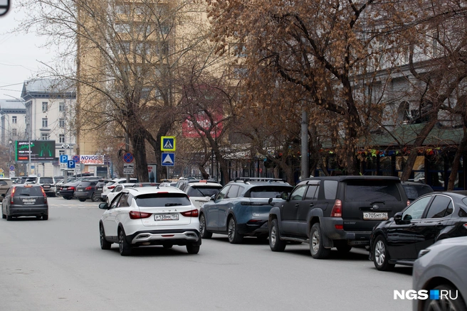Порывы ветра даже в городе будут достигать 20 м/с | Источник: Андрей Бортко / NGS.RU