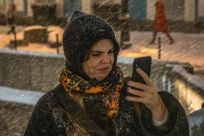 В Мурманской области опровергли фейковый приказ Минобрнауки