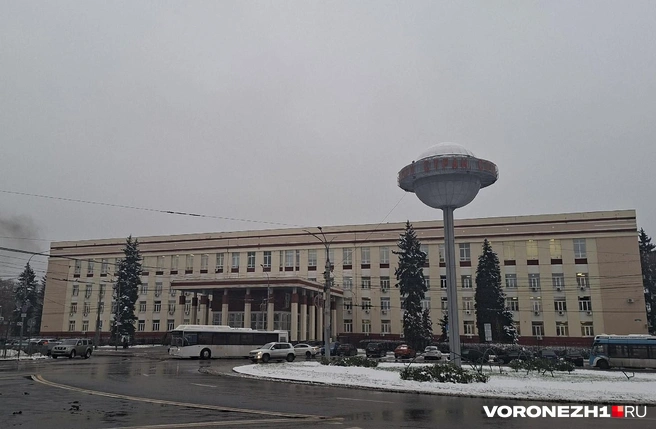 Зарплаты ректоров мало отличаются от зарплат директоров крупных городских школ | Источник: Алёна Воропаева / Voronezh1.ru