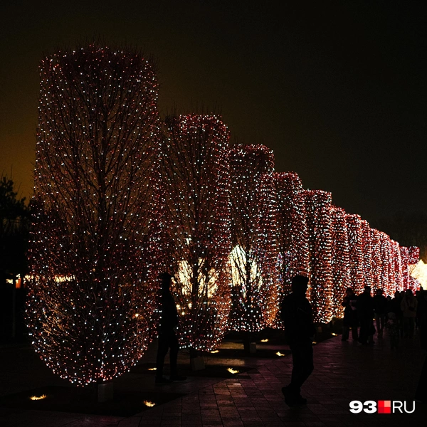 Источник: Дарья Паращенко / 93.RU