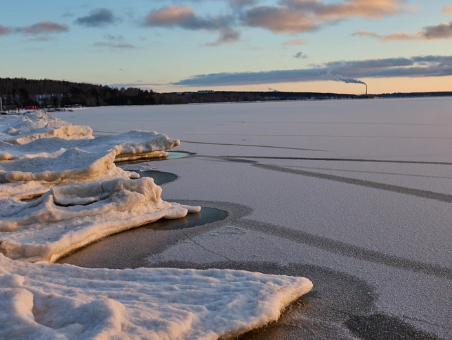 Источник: Александр Ощепков / NGS.RU