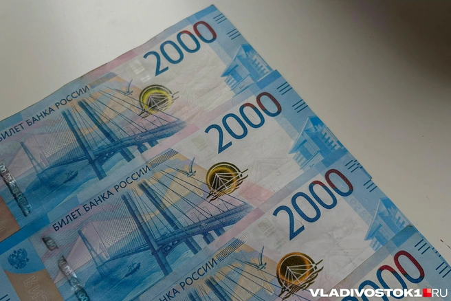 За счет отмены льгот в бюджете появятся дополнительные средства | Источник: Елена Буйвол / VLADIVOSTOK1.RU
