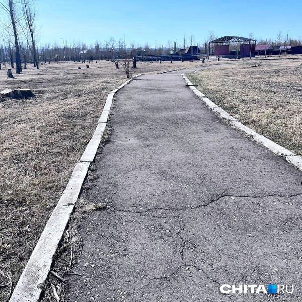 Источник: Александр Хамраев / CHITA.RU