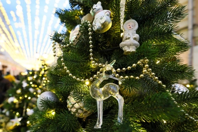 Новогодние планы жителей Рязани