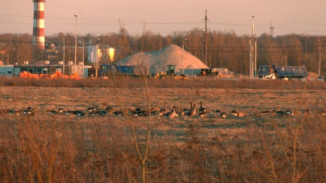 Источник: Павел Глазков / «Каждой твари по паре»