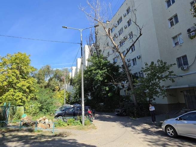 Огромное высохшее дерево уже давно угрожает падением на площадку для прогулок воспитанников детского сада | Источник: Константин Завриков / V1.RU