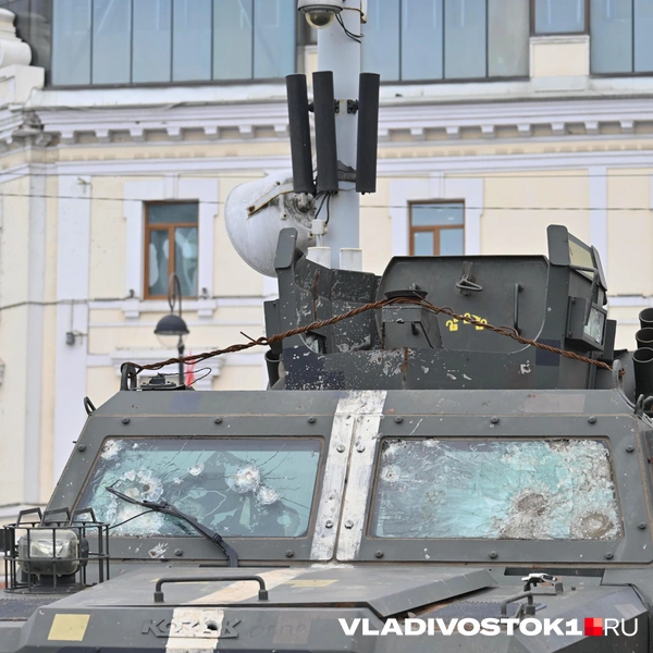 Источник: Елена Буйвол / VLADIVOSTOK1.RU