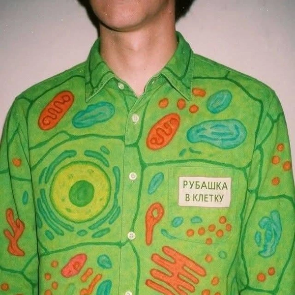 Источник: соцсети