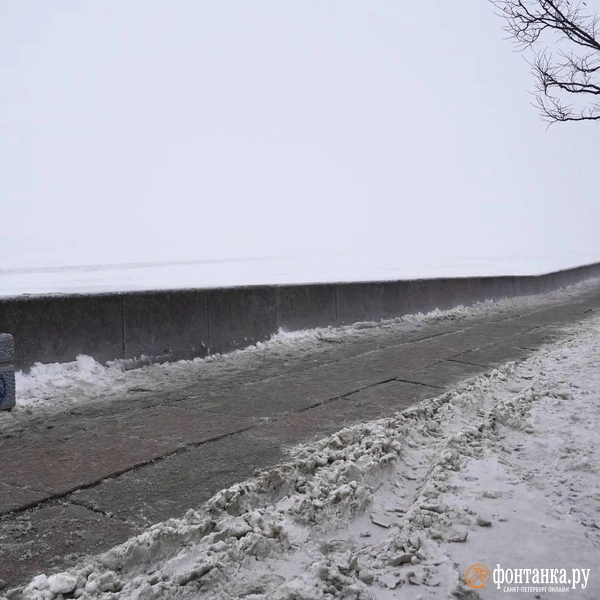 Источник: Павел Даиси / «Фонтанка.ру»