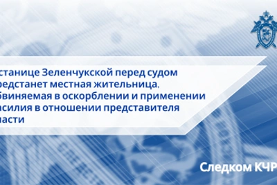 Жительница Зеленчукской обвиняется в насилии и оскорблении пристава