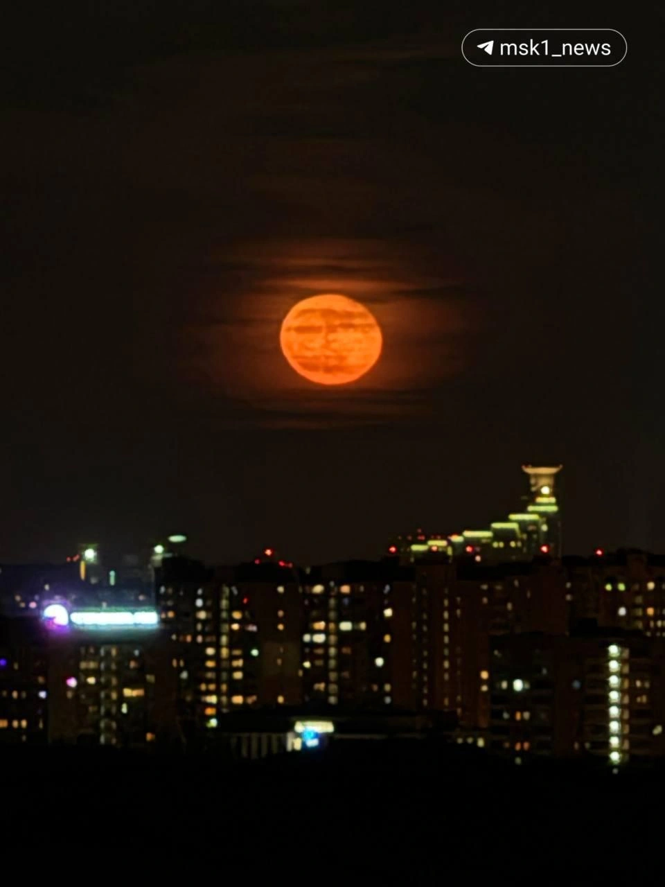 Источник: «MSK1.RU | Новости Москвы | Россия» / Telegram