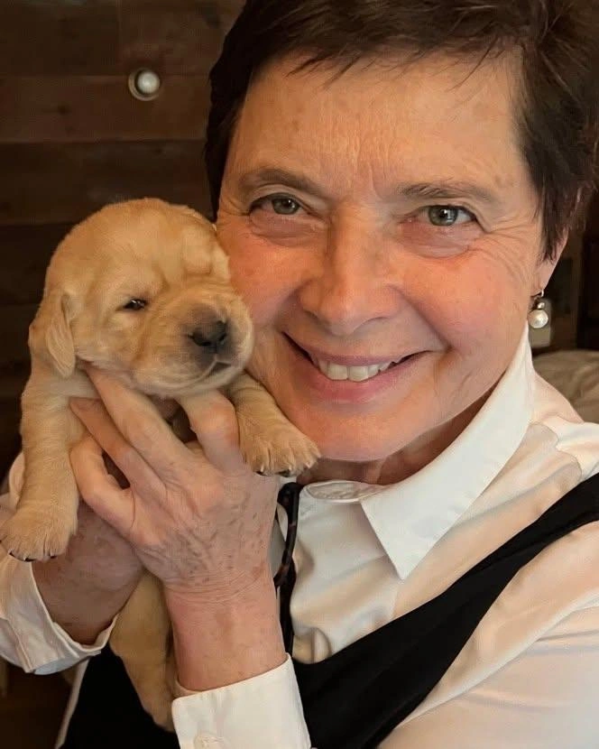 Главная любовь актрисы&nbsp;— животные | Источник: isabellarossellini / Instagram (экстремистская организация, деятельность запрещена на территории РФ)
