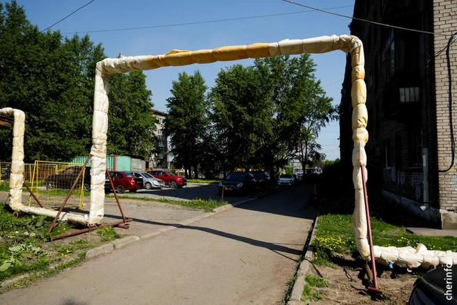 Источник: st.cherinfo.ru