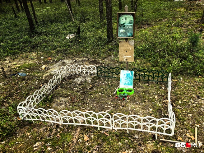 Источник: Анастасия Шевякова / 86.RU