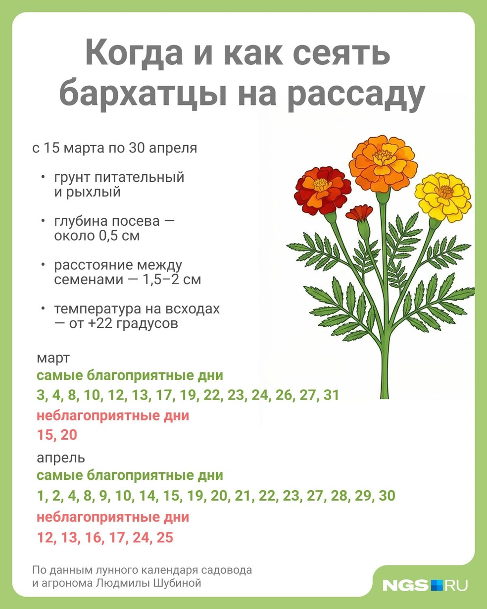 Источник: Юрий Орлов / Городские медиа