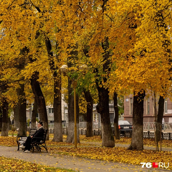 Так же это место отлично подходит для простых прогулок и посиделок на лавке | Источник: Кирилл Поверинов / 76.RU