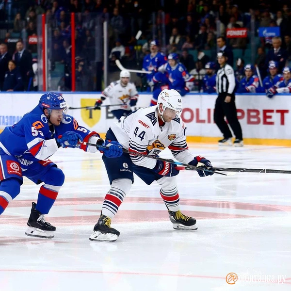 Источник: Дарья Драй/«Фонтанка.ру»