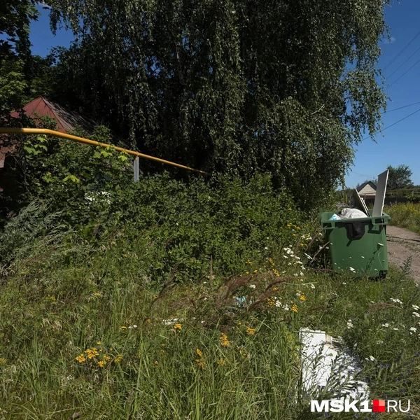 К зданию не подойти — оно заросло травой и деревьями | Источник: Вера Борисова / MSK1.RU