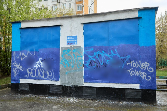 Детская площадка изрисована националистской символикой  | Источник: Дмитрий Толстошеев / MSK1.RU 