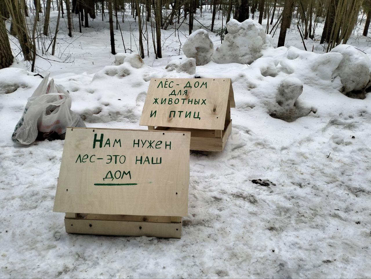 Вырубка Троицкого леса в Новой Москве: зачем это нужно, почему нужно  сносить деревья — альтернативное мнение, 16 января 2023 г. - 16 января 2023  - МСК1.ру