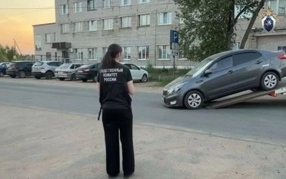 Источник: vologda.sledcom.ru