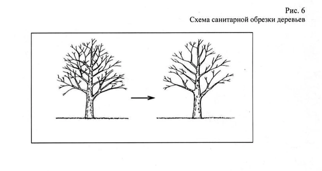 Источник: методические материалы администрации