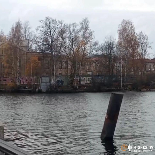 «Заросли» пошли под снос. Строители расчищают территорию под продолжение набережной Макарова | Источник: читатель «Фонтанки»