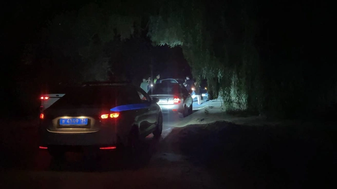Водитель иномарки, судя по всему, не пострадал | Источник: читатели V1.RU